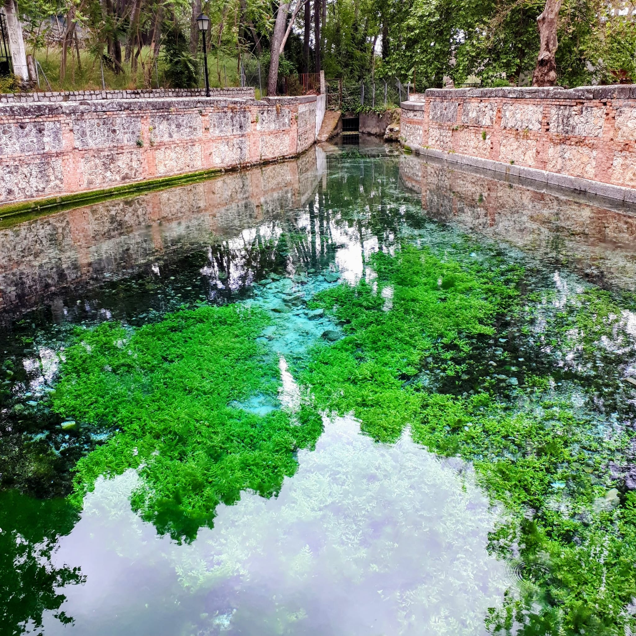 💫La geología, la historia urbana y la vida se entrelazan en nuestros manantiales. 💦
🌍💧 Al estudiar el corte hidrogeológico de Fuente Grande de Alfacar (Fuente de las Lágrimas), comprendemos cómo la estructura tectónica dirige nuestros recursos hídricos. Las precipitaciones sobre el macizo carbonatado de la Dorsal Bética se infiltran en el acuífero triásico (Calizas y Dolomías), definiendo un Nivel Piezométrico (N.P.). Al viajar al Oeste, este flujo subterráneo choca contra la Falla Tectónica de Alfacar, donde los materiales arcillosos del Mioceno actúan como una gran pantalla impermeable. Al verse bloqueada, el agua asciende a presión por el plano de fractura hasta la superficie, dando lugar a la surgencia principal.
Este fenómeno natural se convirtió en el motor del desarrollo de nuestra capital desde el s. XI. La ingeniería andalusí canalizó este nacimiento a través de la célebre Acequia de Aynadamar creando una red esencial que abasteció al Albaicín y dio vida a los aljibes históricos de Granada.
Ladera abajo, el agua percola por el Pie de monte , dando origen a la Fuente Chica, hoy día comprendida en el núcleo urbano de Alfacar.
La ciencia nos advierte de su sensibilidad climática. Los registros históricos del IGME reflejan un caudal medio histórico de 108 l/s (con máximos de 250 l/s); pero las sequías de las últimas décadas marcan una tendencia al decrecimiento por la menor recarga en la sierra.
Pese a ello, la Fuente Grande sostiene un ecosistema de interés ecológico alto-muy alto. Su fondo está tapizado por apio silvestre, berros y la macroalga bioindicadora de la calidad del agua, Chara vulgaris, flanqueada por juncos churreros, libélulas y zapateros.
Desde la Fundación Agua Granada, impulsamos la divulgación científica y la protección de nuestro patrimonio natural e hidráulico. 🏛️🌱💧
#FundacionAguaGranada #Hidrogeologia #IGME #PatrimonioHidraulico #AcequiaDeAynadamar #Alfacar #Albaicin #Biodiversidad #FloraAcuatica #SierraDeHuetor #Sostenibilidad 💫La geología, la historia urbana y la vida se entrelazan en nuestros manantiales. 💦
🌍💧 Al estudiar el corte hidrogeológico de Fuente Grande de Alfacar (Fuente de las Lágrimas), comprendemos cómo la estructura tectónica dirige nuestros recursos hídricos. Las precipitaciones sobre el macizo carbonatado de la Dorsal Bética se infiltran en el acuífero triásico (Calizas y Dolomías), definiendo un Nivel Piezométrico (N.P.). Al viajar al Oeste, este flujo subterráneo choca contra la Falla Tectónica de Alfacar, donde los materiales arcillosos del Mioceno actúan como una gran pantalla impermeable. Al verse bloqueada, el agua asciende a presión por el plano de fractura hasta la superficie, dando lugar a la surgencia principal.
Este fenómeno natural se convirtió en el motor del desarrollo de nuestra capital desde el s. XI. La ingeniería andalusí canalizó este nacimiento a través de la célebre Acequia de Aynadamar creando una red esencial que abasteció al Albaicín y dio vida a los aljibes históricos de Granada.
Ladera abajo, el agua percola por el Pie de monte , dando origen a la Fuente Chica, hoy día comprendida en el núcleo urbano de Alfacar.
La ciencia nos advierte de su sensibilidad climática. Los registros históricos del IGME reflejan un caudal medio histórico de 108 l/s (con máximos de 250 l/s); pero las sequías de las últimas décadas marcan una tendencia al decrecimiento por la menor recarga en la sierra.
Pese a ello, la Fuente Grande sostiene un ecosistema de interés ecológico alto-muy alto. Su fondo está tapizado por apio silvestre, berros y la macroalga bioindicadora de la calidad del agua, Chara vulgaris, flanqueada por juncos churreros, libélulas y zapateros.
Desde la Fundación Agua Granada, impulsamos la divulgación científica y la protección de nuestro patrimonio natural e hidráulico. 🏛️🌱💧
#FundacionAguaGranada #Hidrogeologia #IGME #PatrimonioHidraulico #AcequiaDeAynadamar #Alfacar #Albaicin #Biodiversidad #FloraAcuatica #SierraDeHuetor #Sostenibilidad